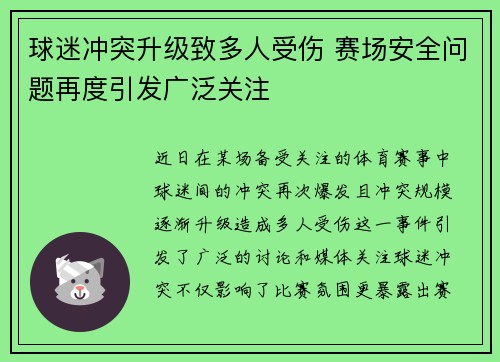 球迷冲突升级致多人受伤 赛场安全问题再度引发广泛关注